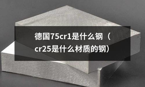 德國75cr1是什么鋼（cr25是什么材質(zhì)的鋼）