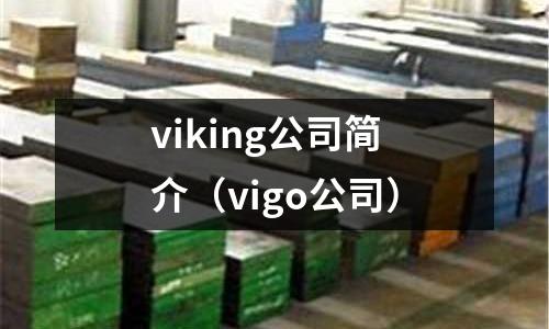 viking公司簡(jiǎn)介（vigo公司）