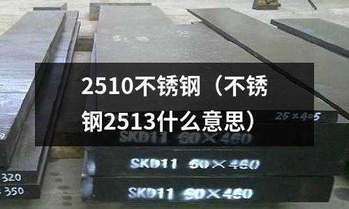 2510不銹鋼（不銹鋼2513什么意思）