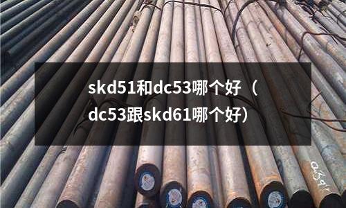 skd51和dc53哪個(gè)好（dc53跟skd61哪個(gè)好）