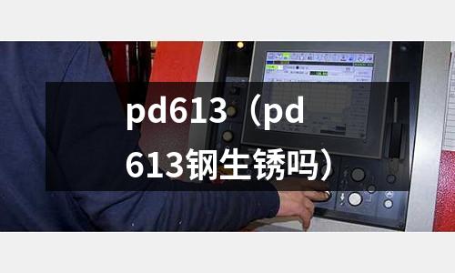 pd613（pd613鋼生銹嗎）