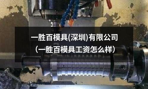 一勝百模具(深圳)有限公司（一勝百模具工資怎么樣）