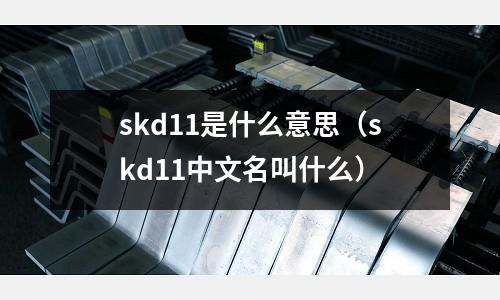 skd11是什么意思（skd11中文名叫什么）