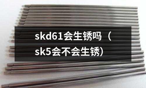 skd61會(huì)生銹嗎（sk5會(huì)不會(huì)生銹）