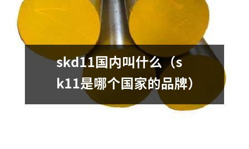 skd11國內(nèi)叫什么（sk11是哪個國家的品牌）