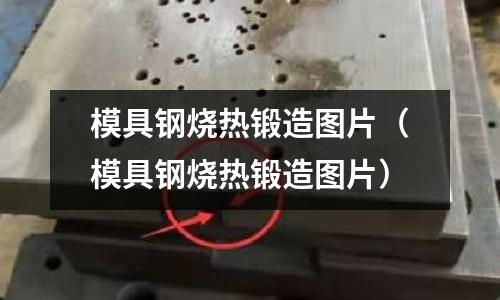 模具鋼燒熱鍛造圖片（模具鋼燒熱鍛造圖片）