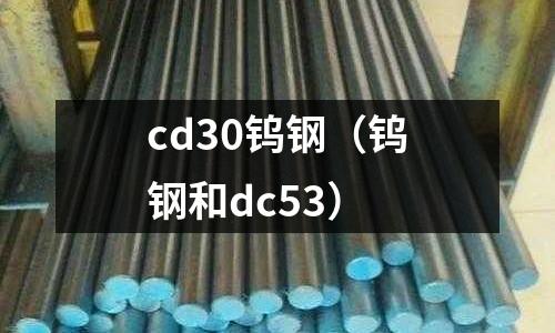 cd30鎢鋼（鎢鋼和dc53）