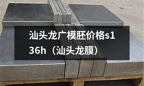 汕頭龍廣模胚價格s136h（汕頭龍膜）