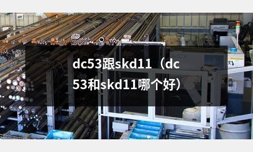 dc53跟skd11（dc53和skd11哪個好）