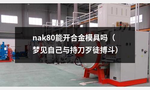 nak80能開(kāi)合金模具嗎（夢(mèng)見(jiàn)自己與持刀歹徒搏斗）