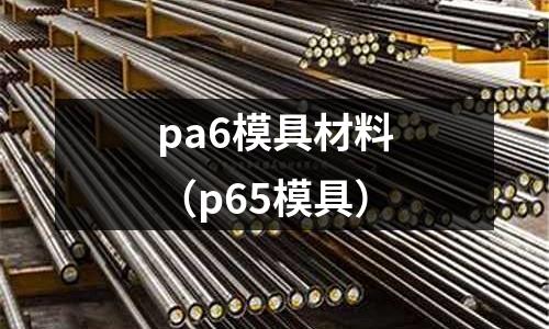 pa6模具材料（p65模具）