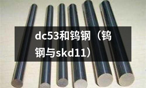 dc53和鎢鋼（鎢鋼與skd11）