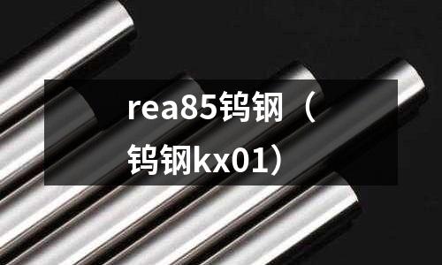 rea85鎢鋼（鎢鋼kx01）