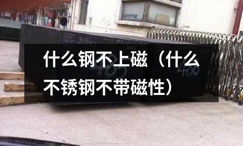 什么鋼不上磁（什么不銹鋼不帶磁性）