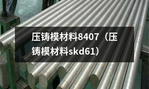 壓鑄模材料8407（壓鑄模材料skd61）