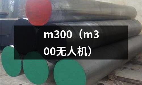 m300（m300無人機(jī)）