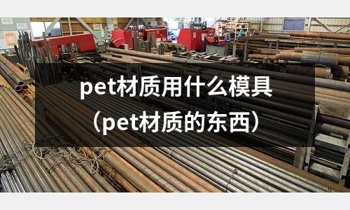 pet材質(zhì)用什么模具（pet材質(zhì)的東西）