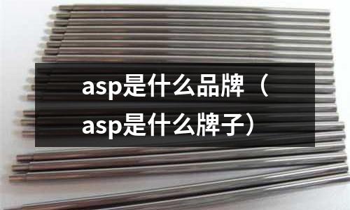 asp是什么品牌（asp是什么牌子）