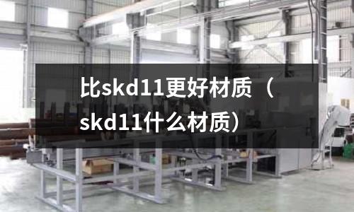 比skd11更好材質(zhì)（skd11什么材質(zhì)）