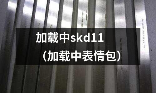 加載中skd11（加載中表情包）