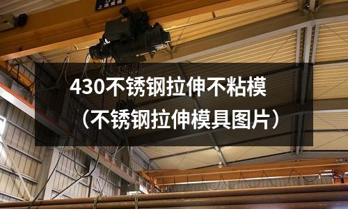 430不銹鋼拉伸不粘模（不銹鋼拉伸模具圖片）