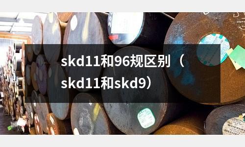 skd11和96規(guī)區(qū)別（skd11和skd9）