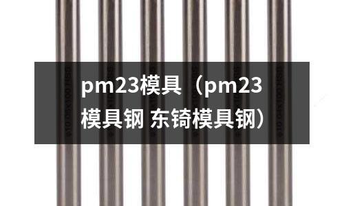 pm23模具（pm23模具鋼 東锜模具鋼）