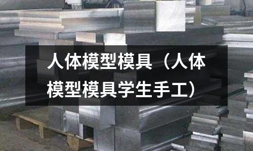 人體模型模具（人體模型模具學(xué)生手工）