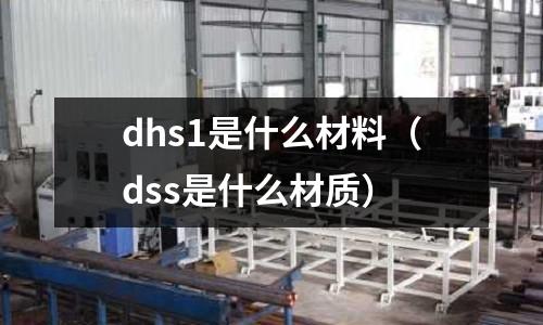 dhs1是什么材料（dss是什么材質(zhì)）