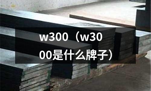 w300（w3000是什么牌子）