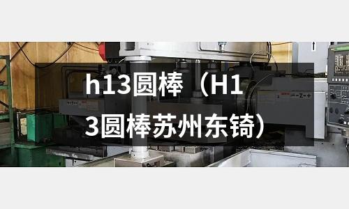 h13圓棒（H13圓棒蘇州東锜）