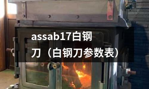 assab17白鋼刀（白鋼刀參數(shù)表）