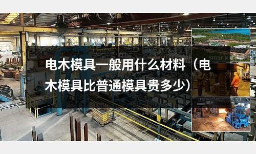 電木模具一般用什么材料（電木模具比普通模具貴多少）