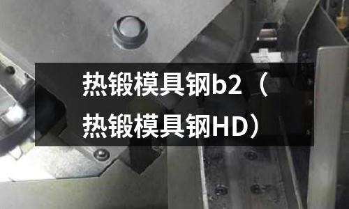 熱鍛模具鋼b2（熱鍛模具鋼HD）