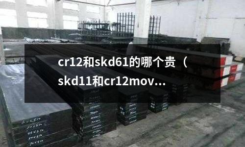 cr12和skd61的哪個貴（skd11和cr12mov哪個貴）