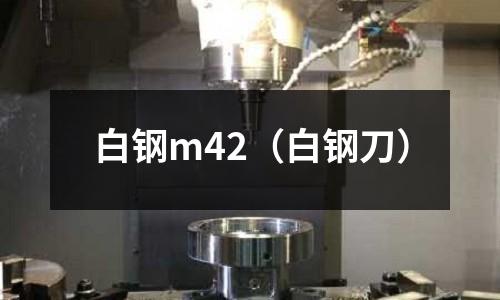 白鋼m42（白鋼刀）