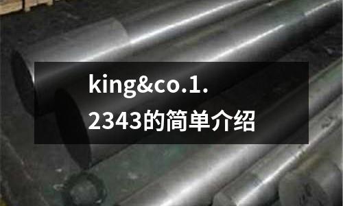 king&co.1.2343的簡(jiǎn)單介紹