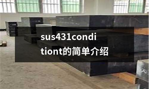 sus431conditiont的簡單介紹