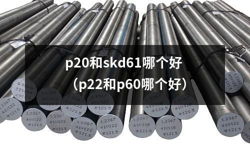 p20和skd61哪個好（p22和p60哪個好）