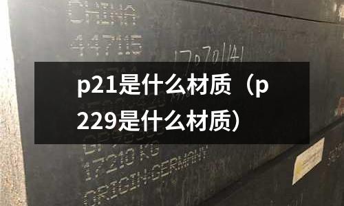 p21是什么材質(zhì)（p229是什么材質(zhì)）