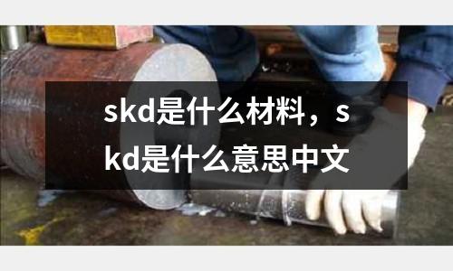 skd是什么材料，skd是什么意思中文