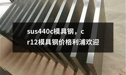 sus440c模具鋼，cr12模具鋼價(jià)格利浦歡迎