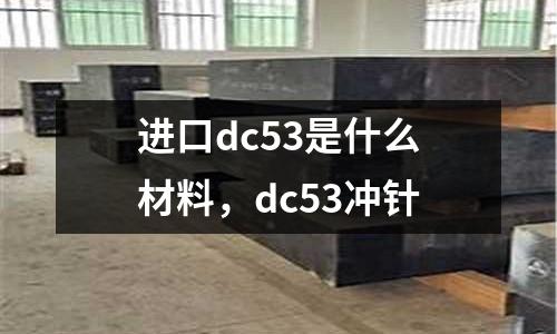 進(jìn)口dc53是什么材料，dc53沖針