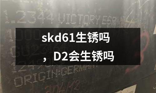 skd61生銹嗎，D2會生銹嗎