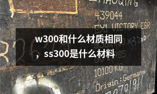 w300和什么材質(zhì)相同，ss300是什么材料