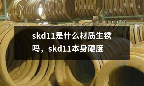 skd11是什么材質(zhì)生銹嗎，skd11本身硬度