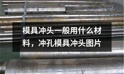 模具沖頭一般用什么材料，沖孔模具沖頭圖片