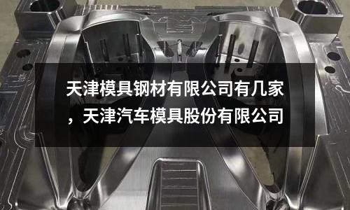 天津模具鋼材有限公司有幾家，天津汽車模具股份有限公司