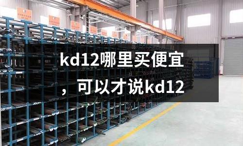 kd12哪里買便宜，可以才說(shuō)kd12