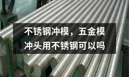 不銹鋼沖模，五金模沖頭用不銹鋼可以嗎